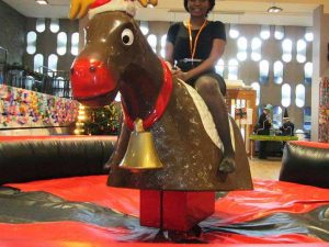 Bucking Bronco Hire; Rodeo Bull Hire