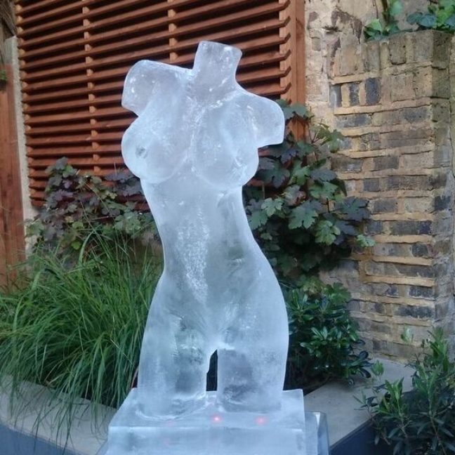 Ice Sculptures